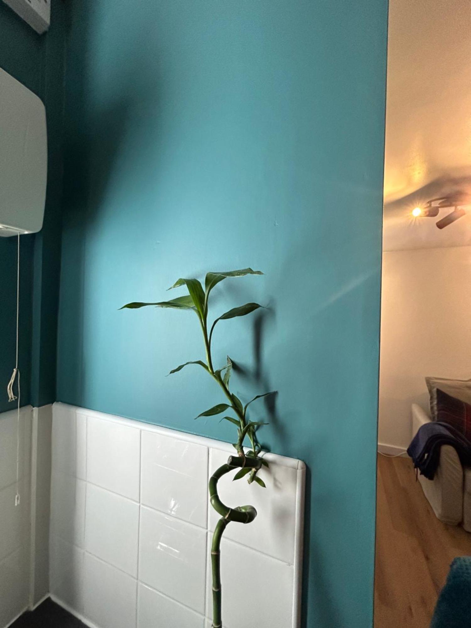 Woodhouse Apartment Лідс Екстер'єр фото